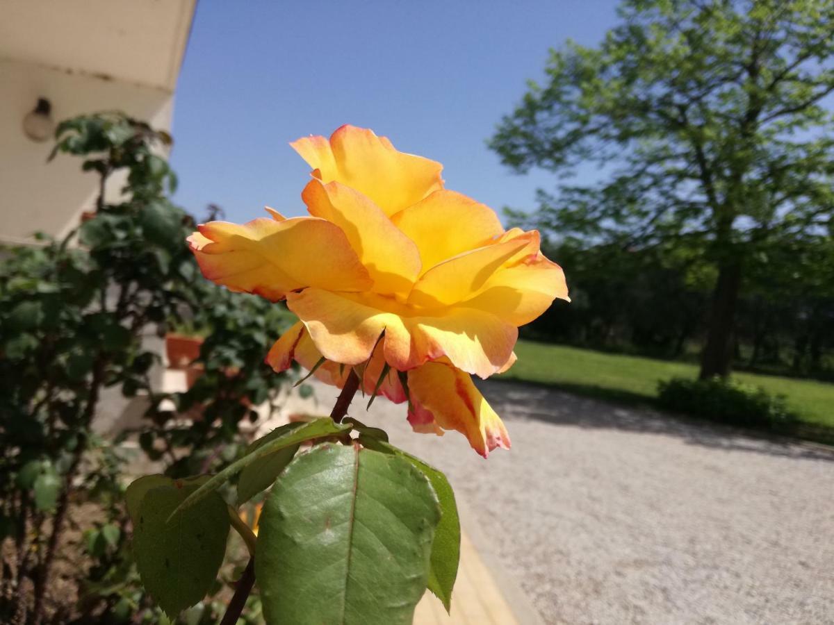 B&B Villa Napoli Battipaglia Exterior foto